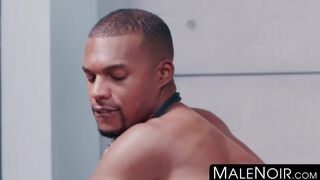 MaleNoir.com - Handsome black homos enjoy a rough and sweaty bareback fuck session