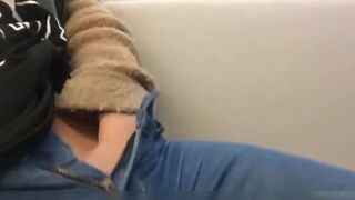 Public Train Masturbation With Amateur Teen