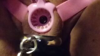 Reverse chastity belt rings lock and blue penis plug in piss hole