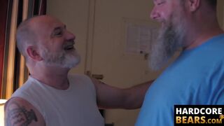 HardcoreBears.com - Hairy cub receives a raw ass pounding from a chubby bear stud