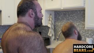 HardcoreBears.com - Grizzly fat bear cock polished hard by his hairy and nasty cub