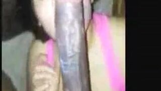 Big Black Cocks for Asian Amateur in Interracial Video