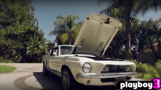 Group of hot babes washed Ford Shelby