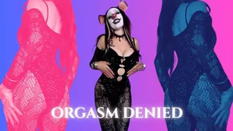 Clips 4 Sale - Orgasm DENIED!