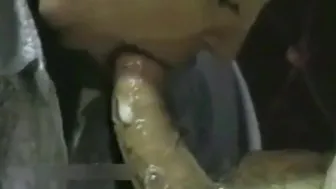 Creamy Oral Delight