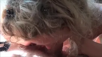 Sunny's Hardcore Amateur Adventure