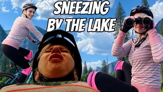 Clips 4 Sale - Forest POV Sneezing Fantasy