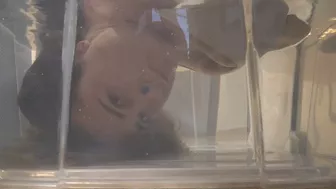 Clips 4 Sale - Talking Underwater ORDER b