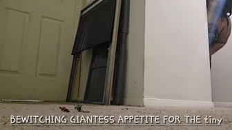 Clips 4 Sale - BEWITCHING GIANTESS APPETITE FOR THE tiny