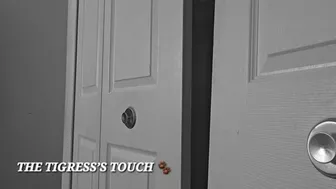 Clips 4 Sale - THE TIGRESS’S TOUCH