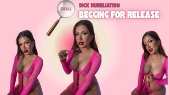 Clips 4 Sale - Small Dick Humiliation: Begging for Release