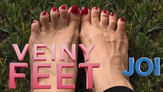 Clips 4 Sale - Veiny Feet JOI