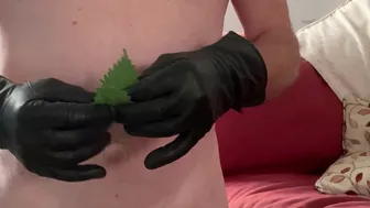 Nettle  for submissive fag sissy drew