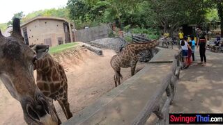 Amateur teen couple visits animal park