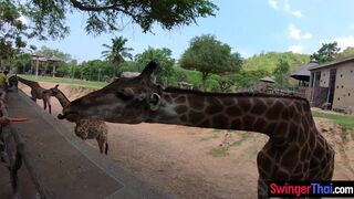 Amateur teen couple visits animal park