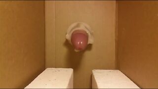 Cum-Loving Hunks: Solo Toy Sessions