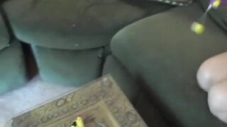 Kitty cumming on the couch fingering pussy