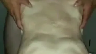 Wife Has Big Orgasm With Black Bull While Husband Watches