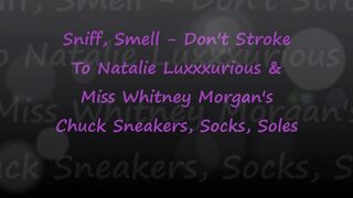 Clips 4 Sale - Miss Whitney Morgan & Natalie Luxxx: Sniff No Stroke to Chucks Socks Soles - mp4