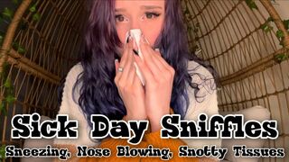 Clips 4 Sale - Sick Day Sniffles Sneezing and Nose Blowing