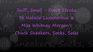 Miss Whitney Morgan & Natalie Luxxx: Sniff No Stroke to Chucks Socks Soles - wmv