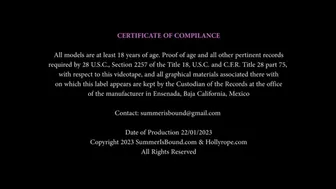 Clips 4 Sale - Dress Up Summer