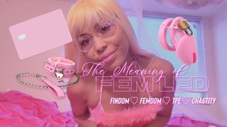 Clips 4 Sale - The Meaning of Fem Led