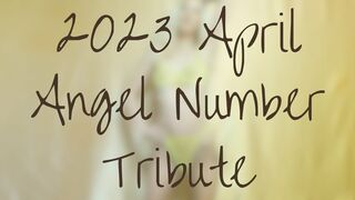Clips 4 Sale - 2023 April Angel Number Tribute