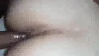 Bulls porn video – Wife Does Cuckold Party With Big Black Bulls