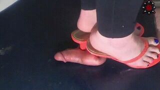 Clips 4 Sale - Anika's Marking Mules! SD