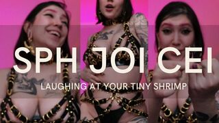 Clips 4 Sale - SPH JOI CEI:LAUGHING AT YOUR TINY SHRIMP