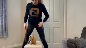 Pet Toy Crush - FAPCAT