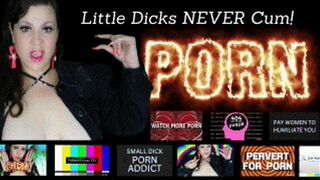 Clips 4 Sale - Little Dick Pornoholic Humiliation (no music)
