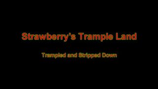Clips 4 Sale - Trampled And Stripped Down