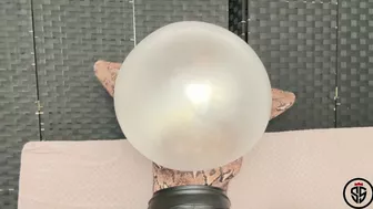 Clips 4 Sale - Bubble Gum #2