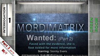 Mordimatrix 1: Wanted - Part 2