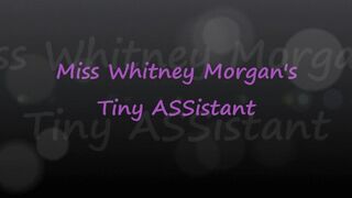 Miss Whitney Morgan’s Tiny ASSistant - wmv