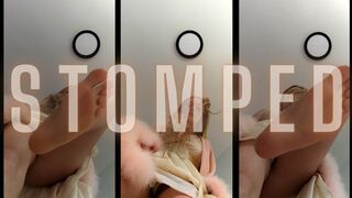Clips 4 Sale - Stomped by a Goddess