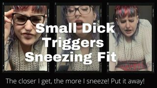 Clips 4 Sale - School Girl Sneezes On Your Small Cock