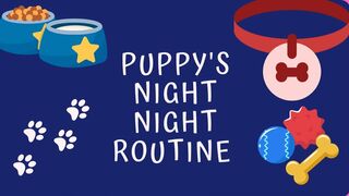 Clips 4 Sale - Puppy's Nighttime Routine