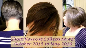 Clips 4 Sale - Haircut Collection #1: Oct 2015-May 2016 | Short Hair | Brunette | Clara Crisp