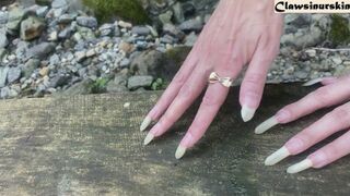 Clips 4 Sale - Nails scratching wood, destroying trunk and some nails show