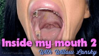 Clips 4 Sale - Inside My Mouth 2 - Willow Lansky - HD 720 WMV