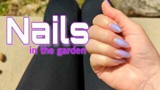 Clips 4 Sale - Nails in the Garden