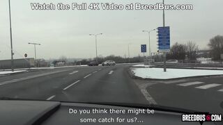 It’s so fucking cold! Can you give me a lift in the BreedBus?