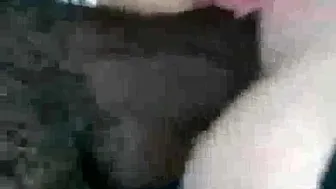 Bbc Bull Fucks Hot Wife So Hard He Loses Condom