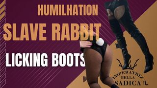 Clips 4 Sale - Sissy rabbit licking boots