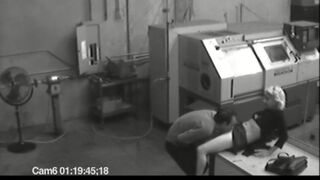 Co workers masturbating in horny office warehouse