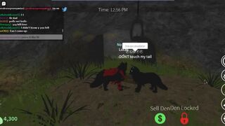 fucking a Female wolf Roblox wolves life 3 pornYaN