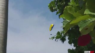 Ksal Hot calls his friend Robinho to fuck in an abandoned square in broad daylight. The hang gliding group records our fuck